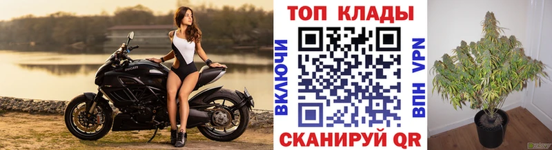 Наркота Саратов Марихуана Кокаин Мефедрон