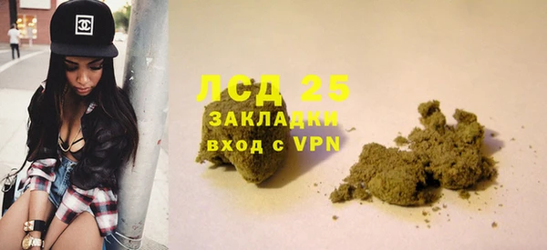 сатива Сатка