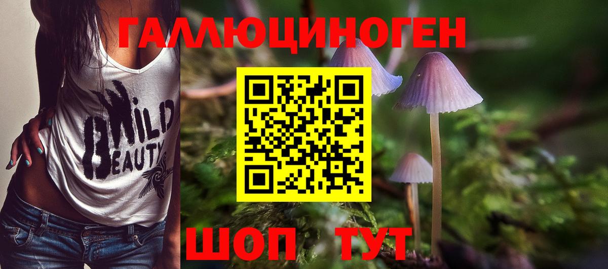 Галлюциногенные грибы Magic Shrooms Саратов